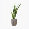 Home Decor Set