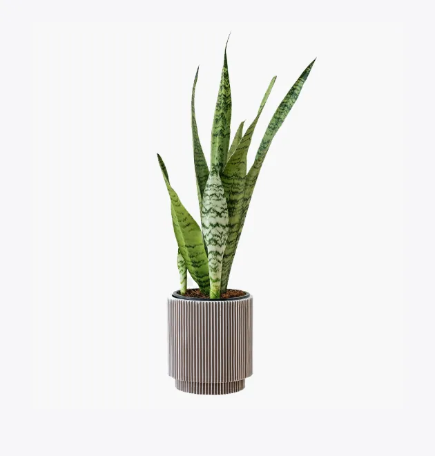 Home Decor Set
