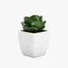 Home Decor Set