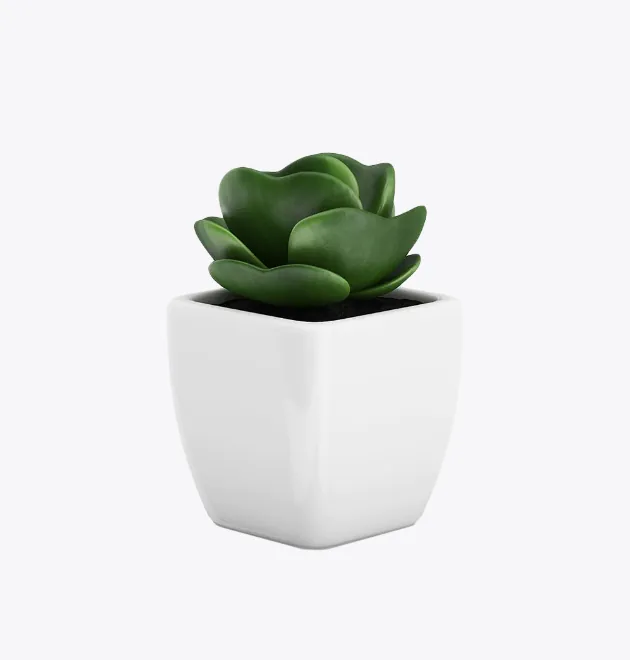 Home Decor Set